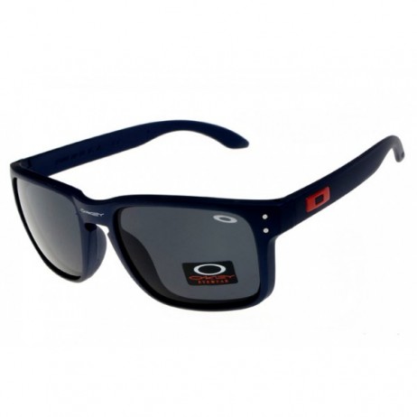 Oakley Holbrook sunglasses matte blue