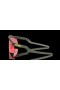 Oakley Hydra Coalesce Collection Prizm Trail Torch Lenses Olive Ink Frame Sunglasses