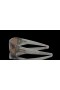 Oakley Heliostat Introspect Collection Prizm Bronze Lenses Grey Smoke Frame Sunglasses