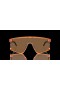 Oakley BXTR Metal Coalesce Collection Prizm Bronze Lenses Transparent Ginger Frame Sunglasses