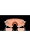 Oakley Encoder (Low Bridge Fit) Coalesce Collection Prizm Berry Lenses Matte Sand Frame Sunglasses