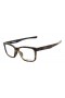 Oakley Unisex Fenceline Tortoise Frame Transparent Lens Rectangular 53mm Glasses