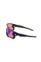 Oakley Men's Jaw Breaker Blue Frame Blue Lens Shield Sunglasses