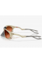 Oakley Plantaris Sunglasses Matte Sand Frame Prizm Brown Gradient Lenses