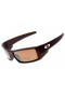 Oakley Gascan sunglasses brown