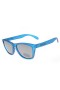 Oakley heaven and earth frogskins sunglasses