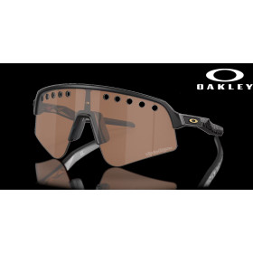 Oakley Sutro Lite Sweep Troy Lee Designs Series Prizm Tungsten Lenses Tld Matte Black Frame Sunglasses