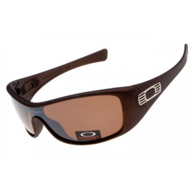 Oakley Antix sunglasses brown / g28 iridium